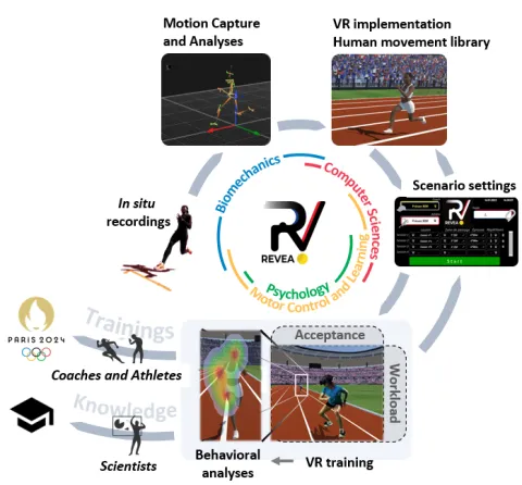 Global approach of the REVEA project